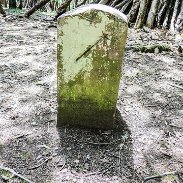 Ruines du château de Pflixbourg