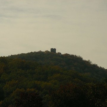 Ruines du château de Pflixbourg