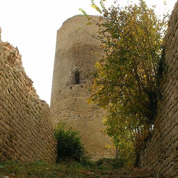 Ruines du château de Pflixbourg
