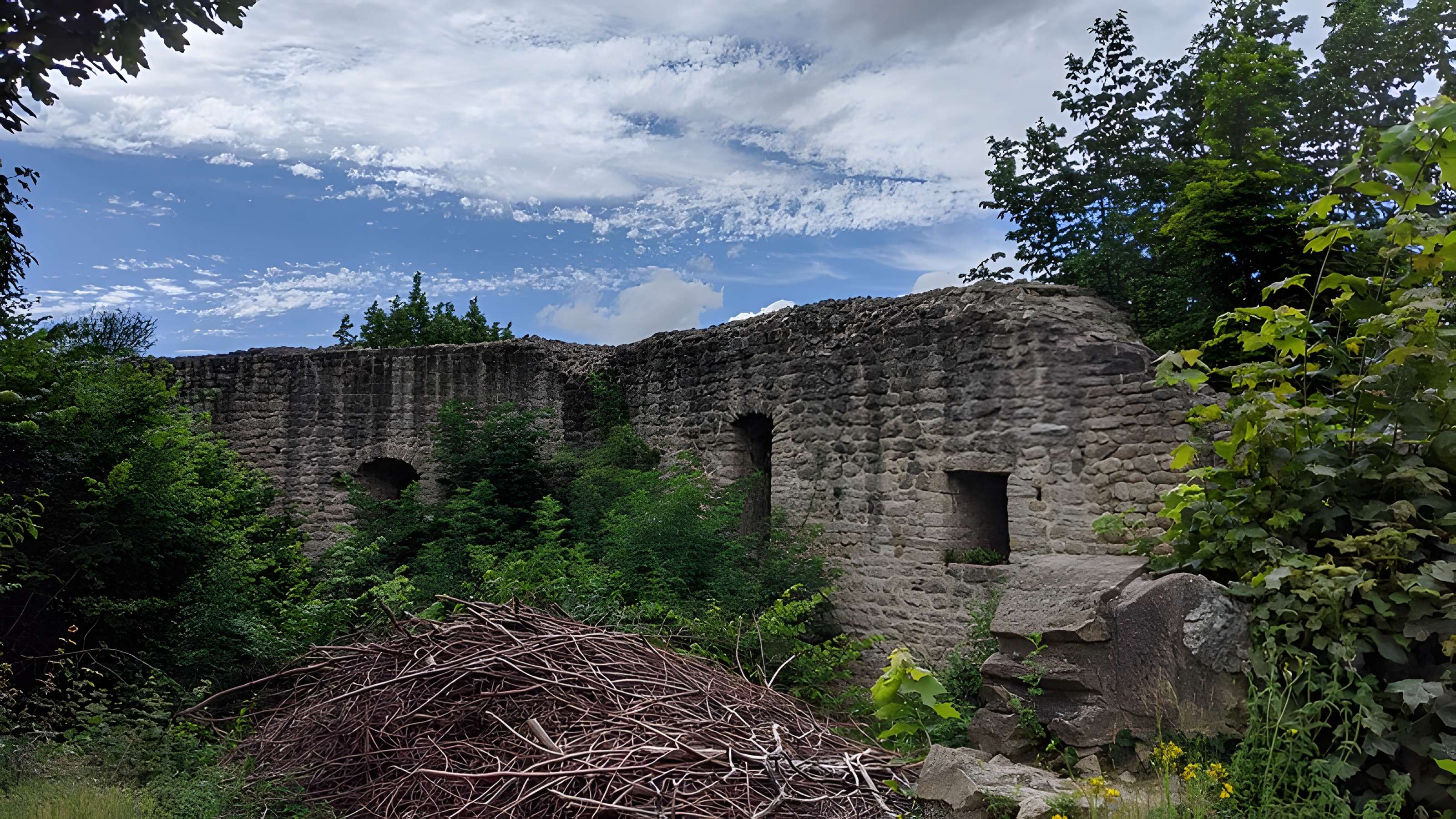 Ruines du château de Pflixbourg