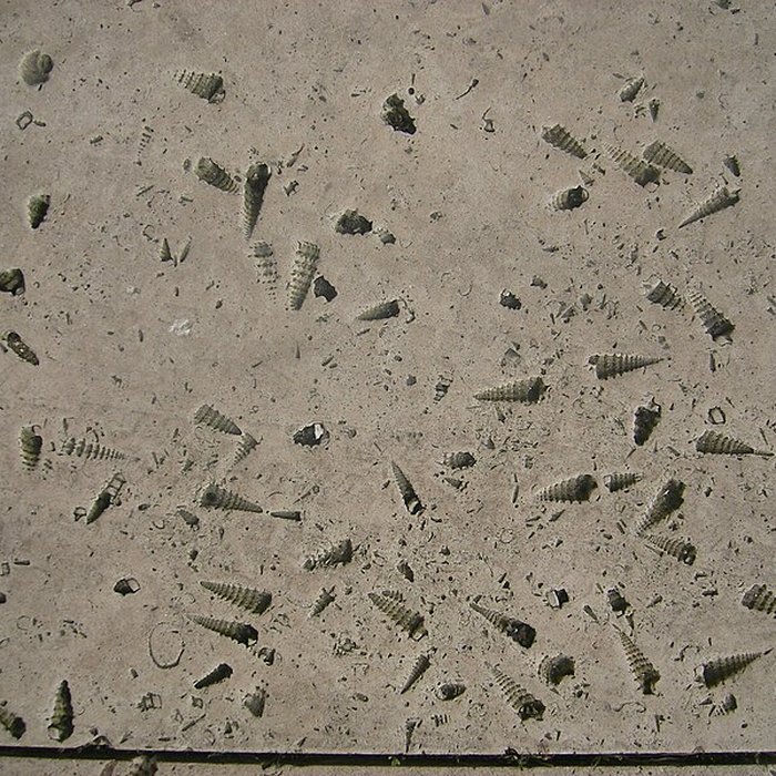 Photo de Cathédrale Saint-Gervais-et-Saint-Protais de Soissons