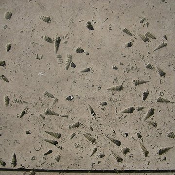 Cathédrale Saint-Gervais-et-Saint-Protais de Soissons 