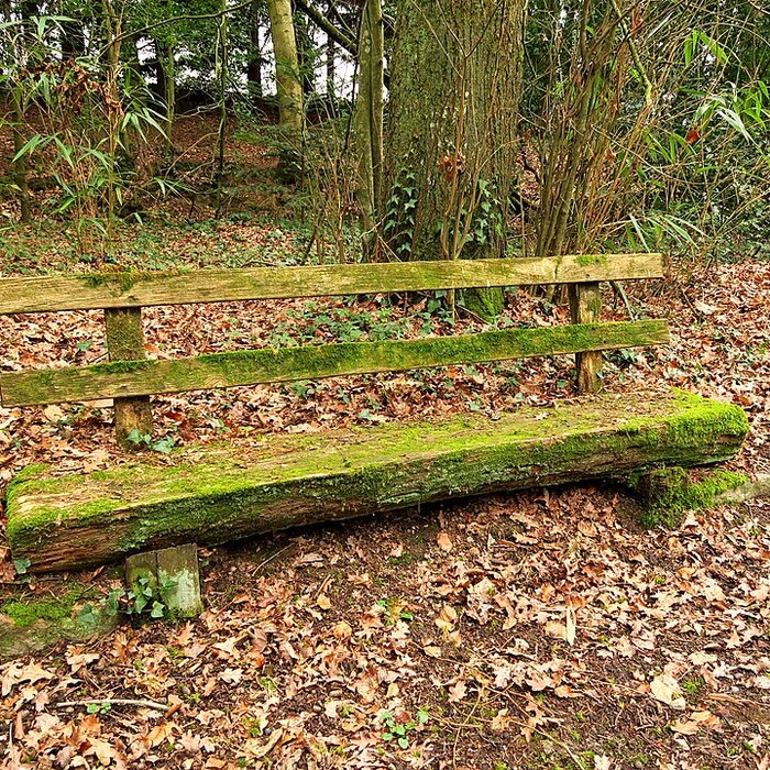 Photo de Château du Plessis à Argentré-du-Plessis