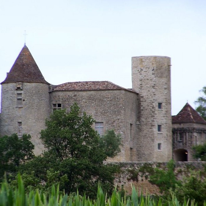Photo de Château du Puch de Gensac