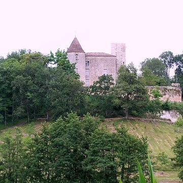 Château du Puch de Gensac