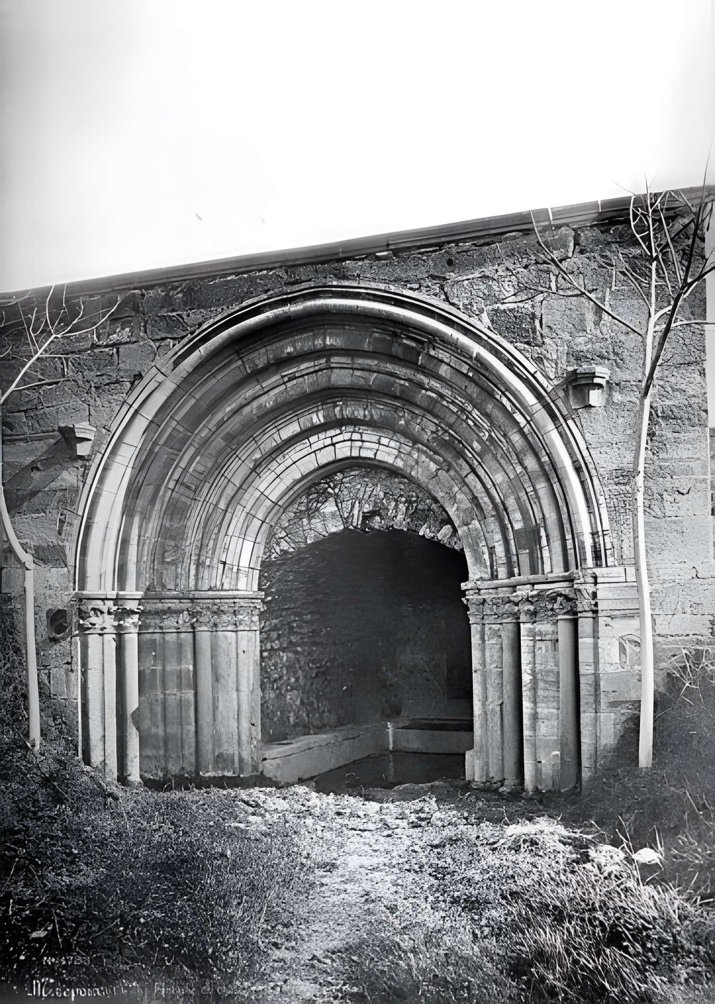 Ruines du château dit de Terride