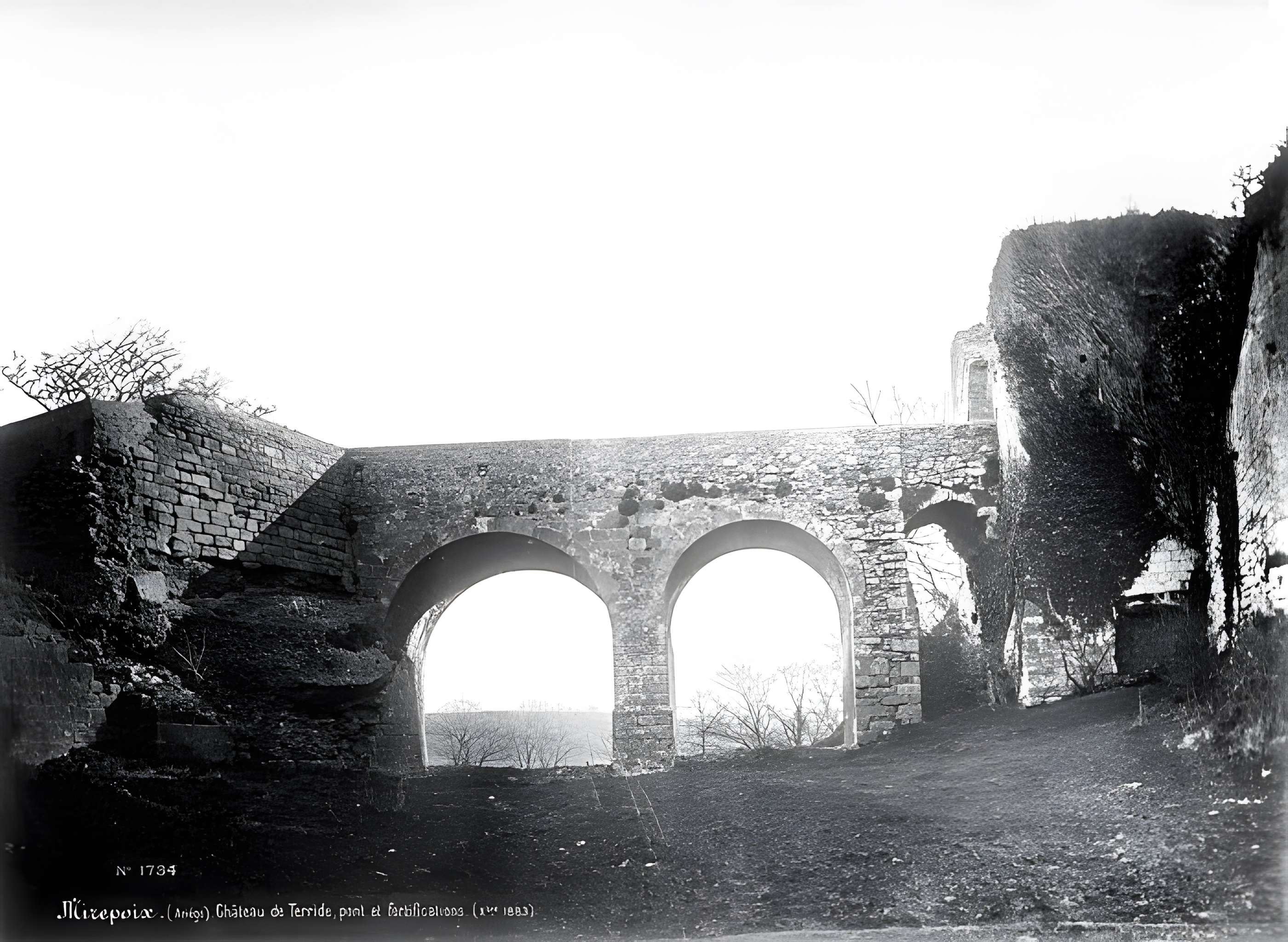 Ruines du château dit de Terride