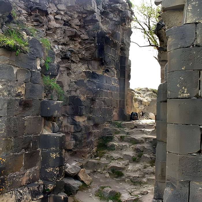 Photo de Kasteel Cathar