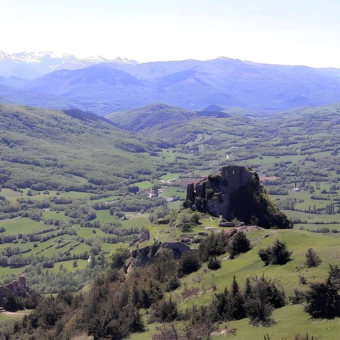 Photo de Kasteel Cathar
