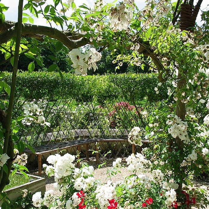 Photo de Château du Rivau