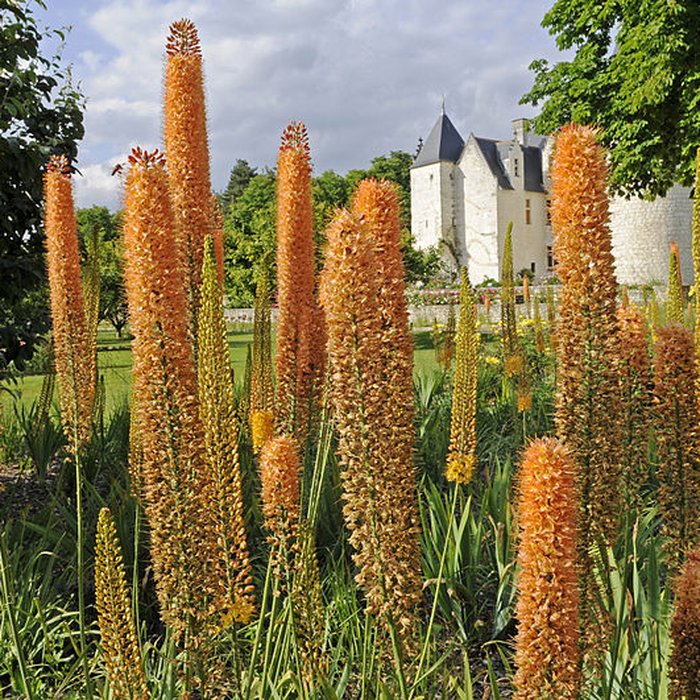 Photo de Château du Rivau