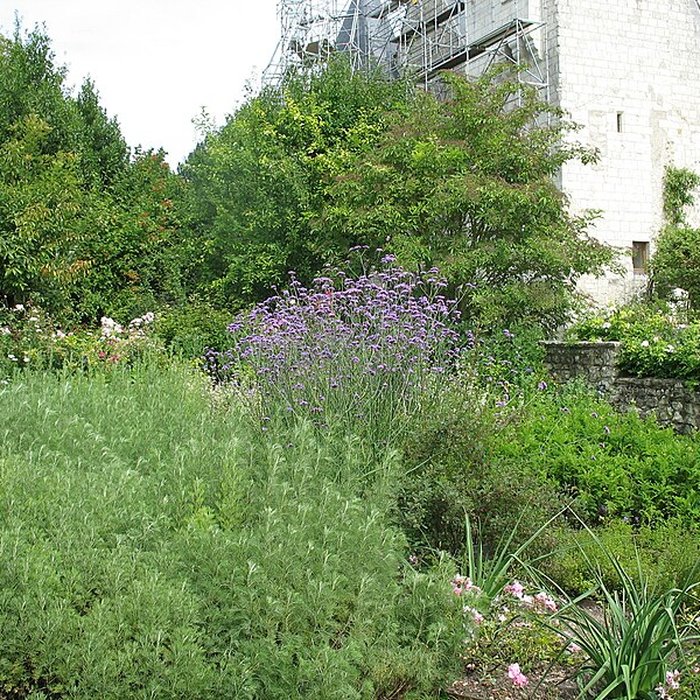 Photo de Château du Rivau