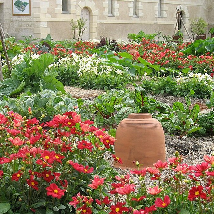 Photo de Château du Rivau