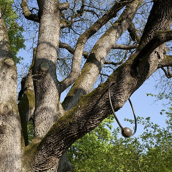 Photo de Château du Rivau
