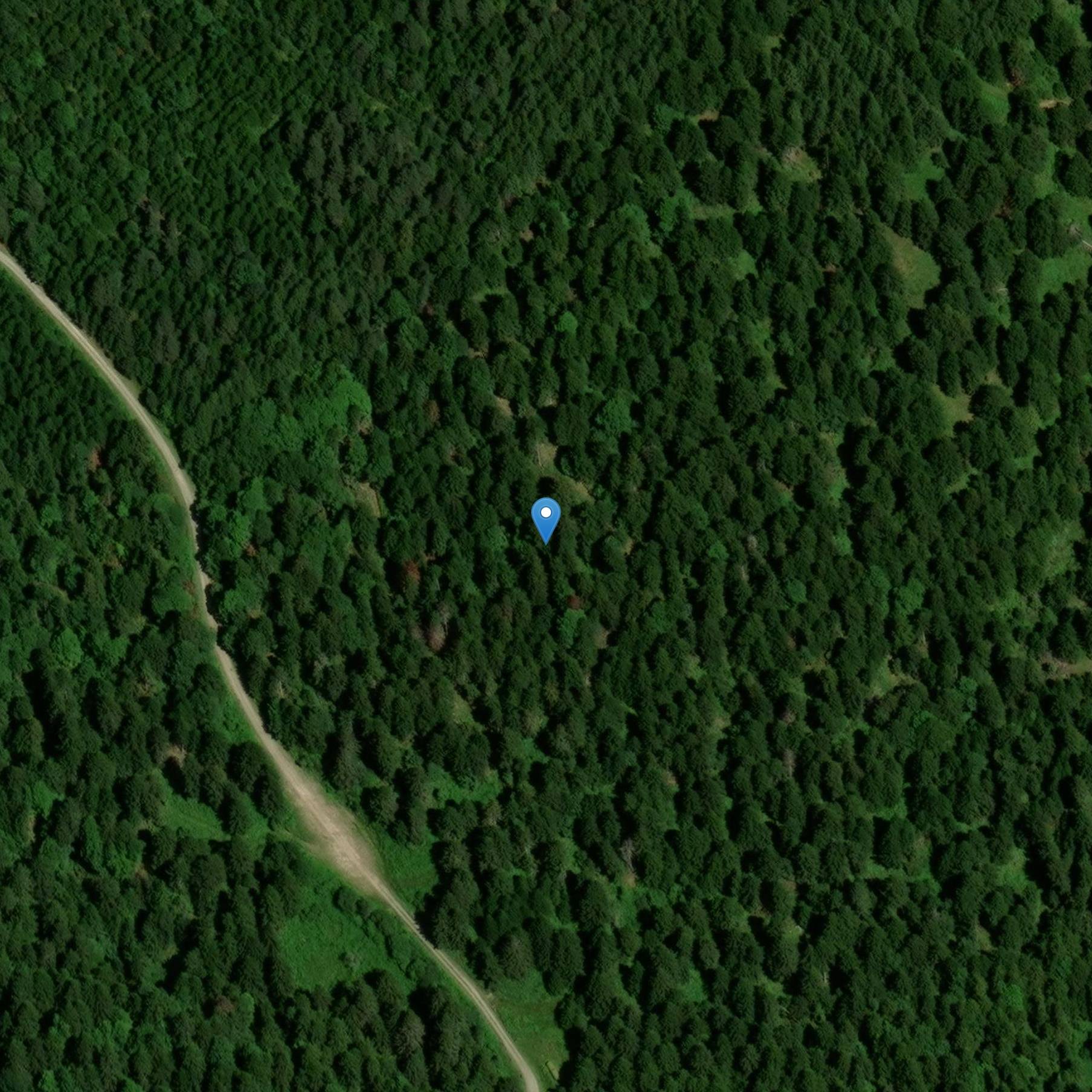 Photo de 萨维尼亚克教堂