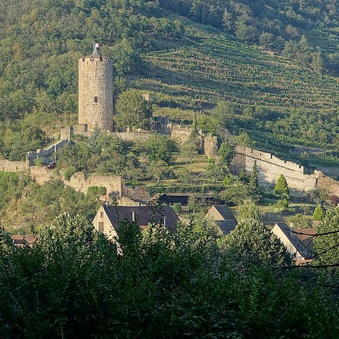 Photo de Château dit Schlossberg et enceinte