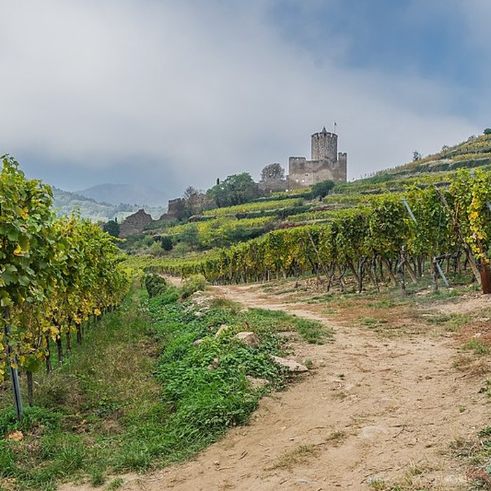Photo de Château dit Schlossberg et enceinte