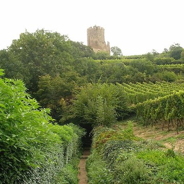Château dit Schlossberg et enceinte