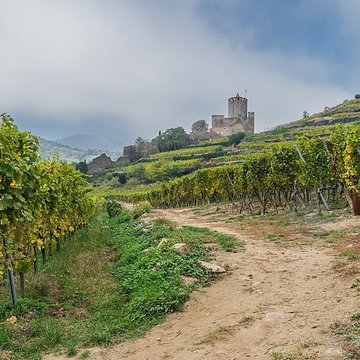 Château dit Schlossberg et enceinte