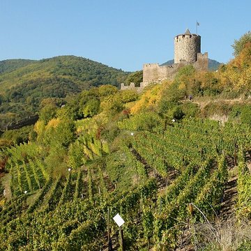 Château dit Schlossberg et enceinte