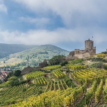 Château dit Schlossberg et enceinte
