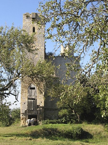 Photo de Château du Tauzia