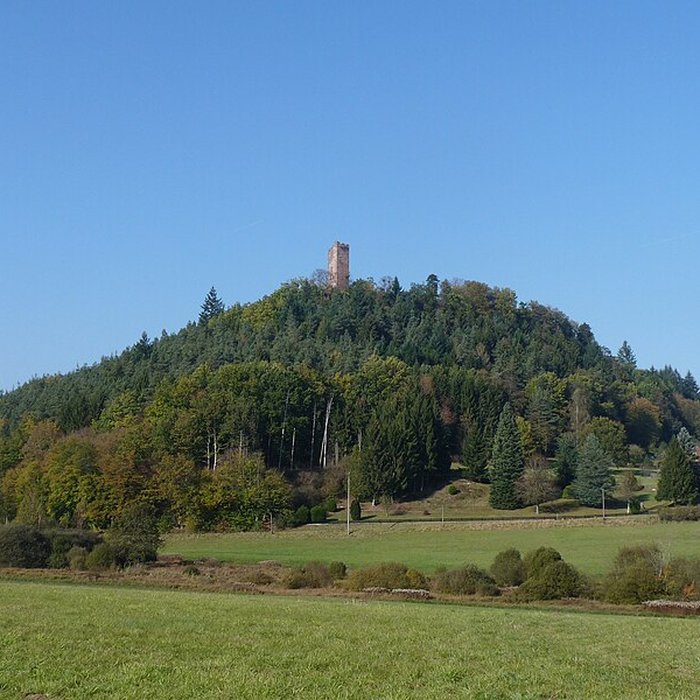 Photo de Château du Waldeck