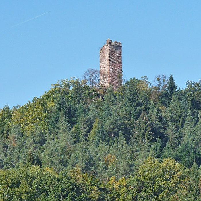 Photo de Château du Waldeck