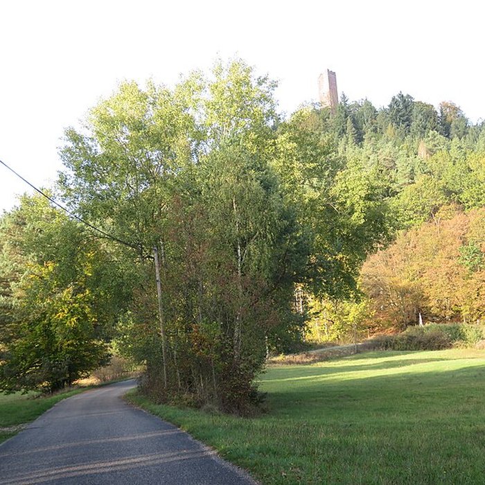Photo de Château du Waldeck