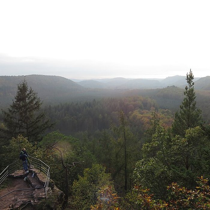 Photo de Château du Waldeck