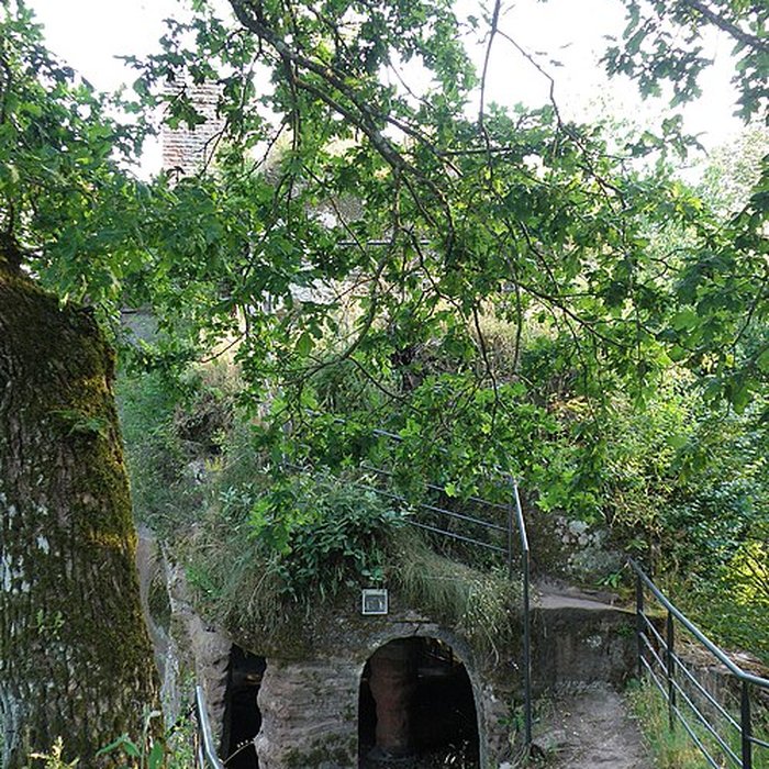 Photo de Château du Waldeck