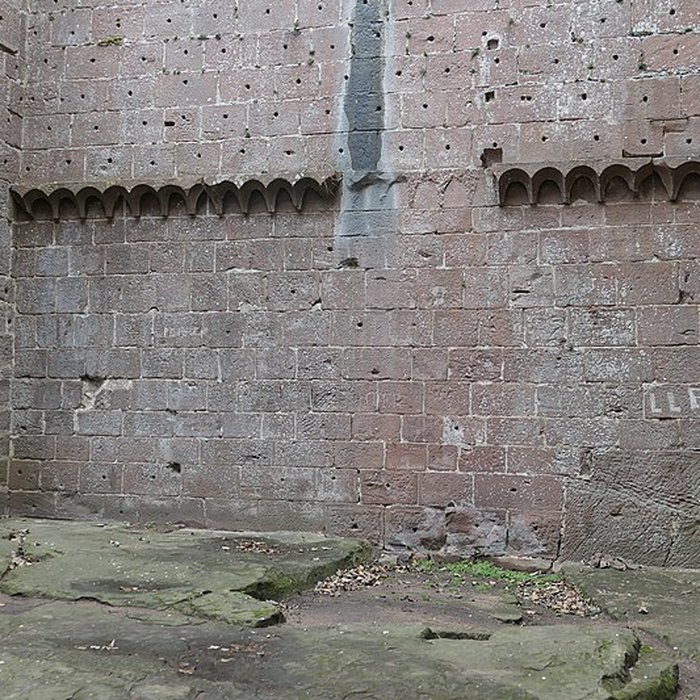 Photo de Ruines du château de Wasenbourg