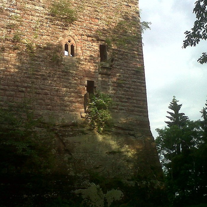 Photo de Ruines du château de Wasenbourg