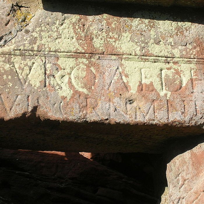 Photo de Ruines du château de Wasenbourg