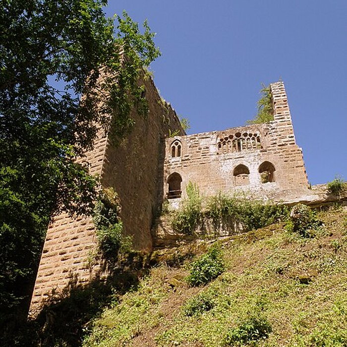 Photo de Ruines du château de Wasenbourg