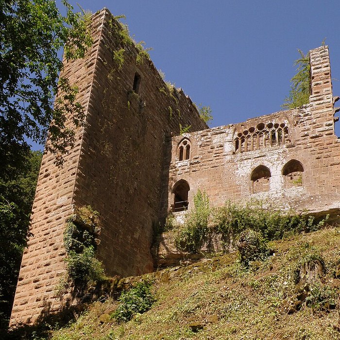 Photo de Ruines du château de Wasenbourg