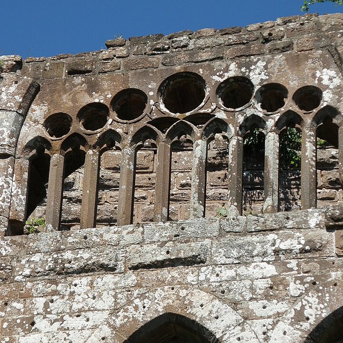 Photo de Ruines du château de Wasenbourg