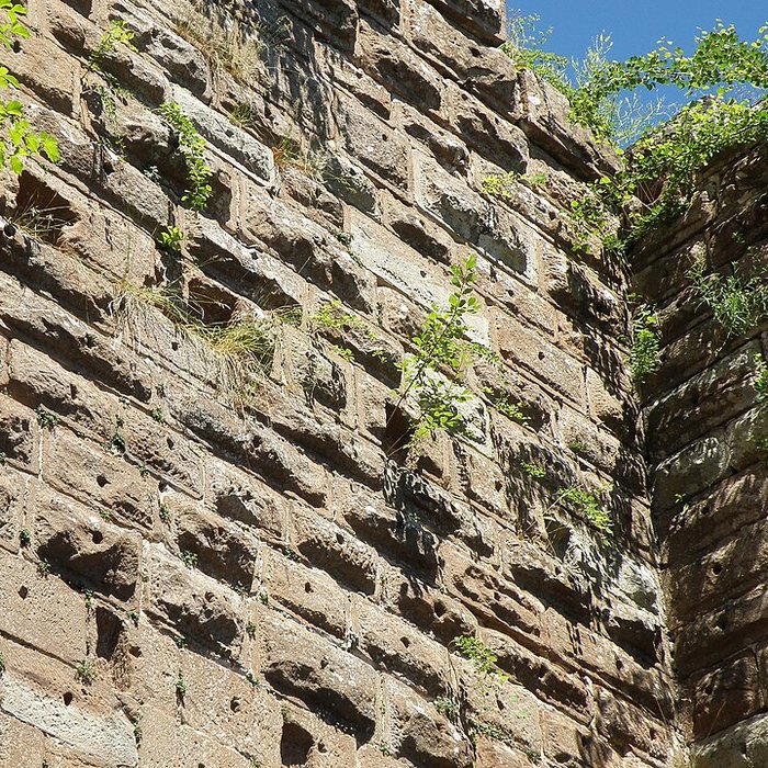 Photo de Ruines du château de Wasenbourg