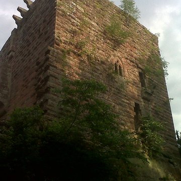 Ruines du château de Wasenbourg