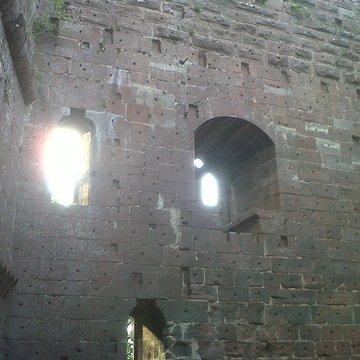 Ruines du château de Wasenbourg