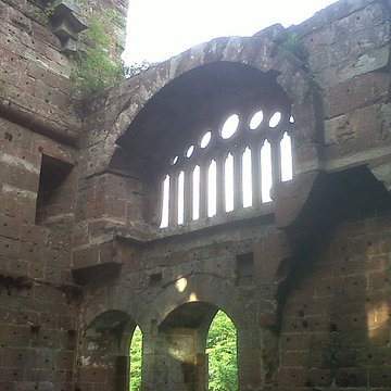 Ruines du château de Wasenbourg