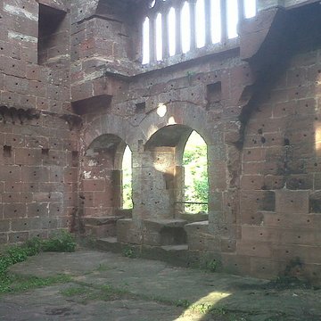 Ruines du château de Wasenbourg