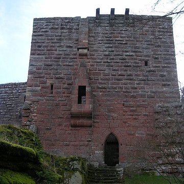 Ruines du château de Wasenbourg