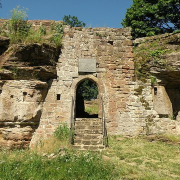 Ruines du château de Wasenbourg