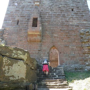 Ruines du château de Wasenbourg