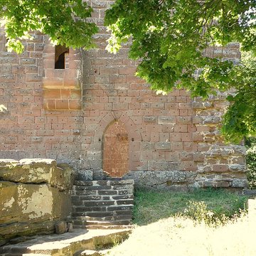 Ruines du château de Wasenbourg