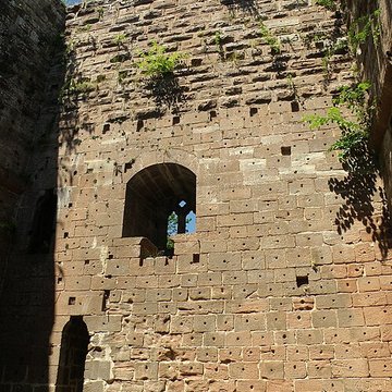 Ruines du château de Wasenbourg