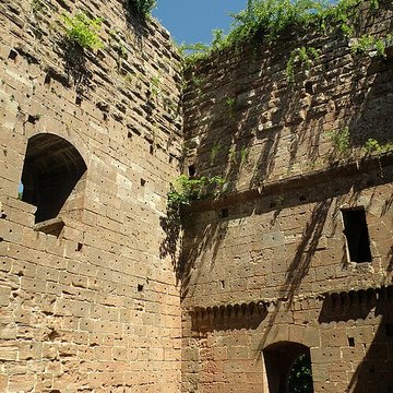 Ruines du château de Wasenbourg