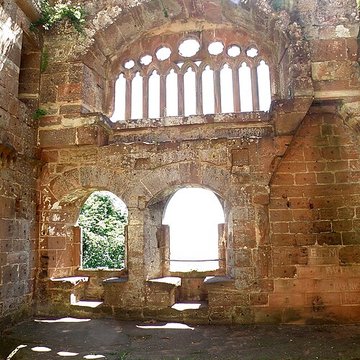 Ruines du château de Wasenbourg