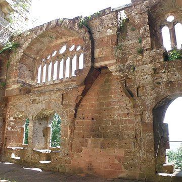 Ruines du château de Wasenbourg